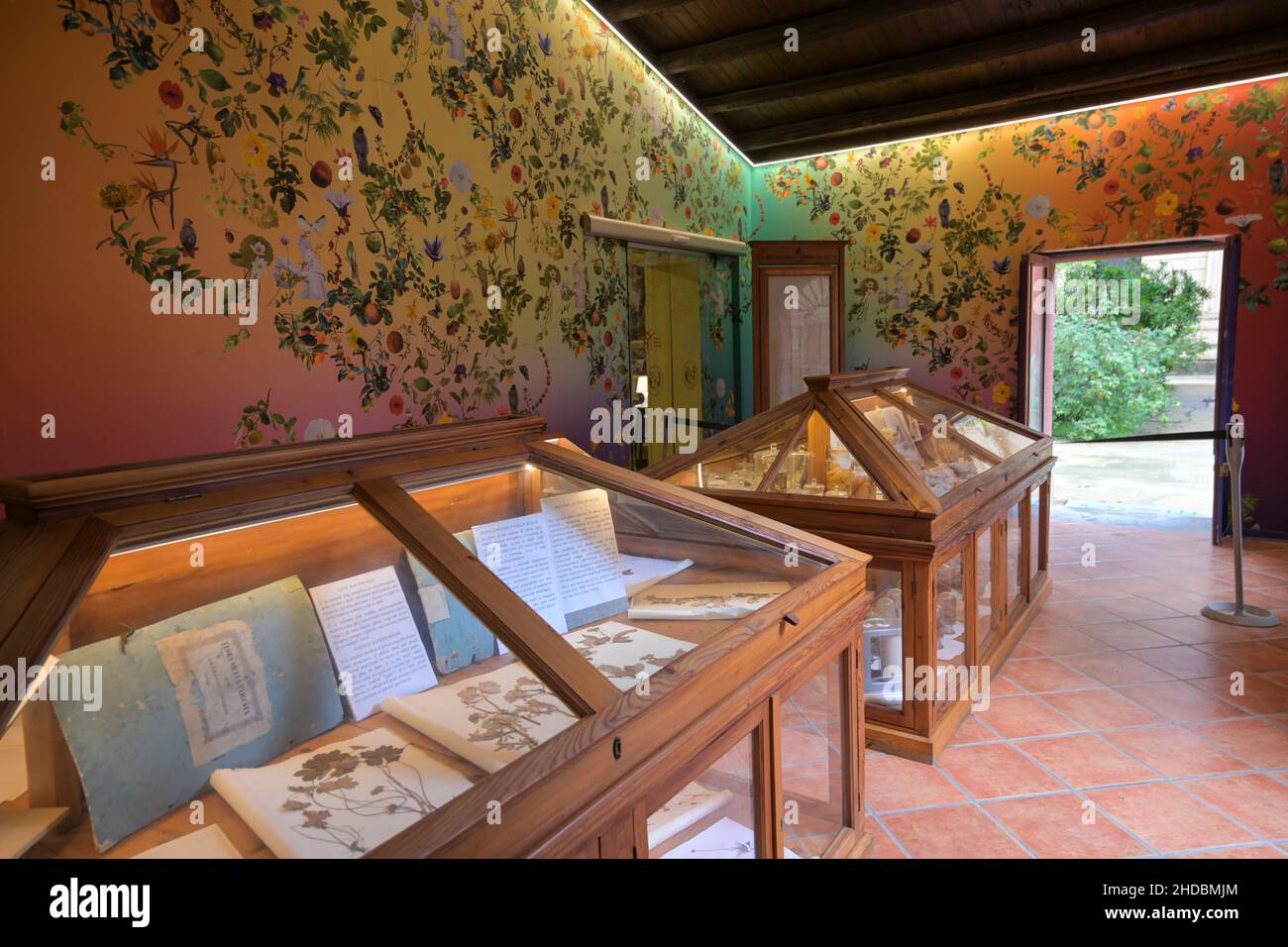 Botanischer Garten Palermo