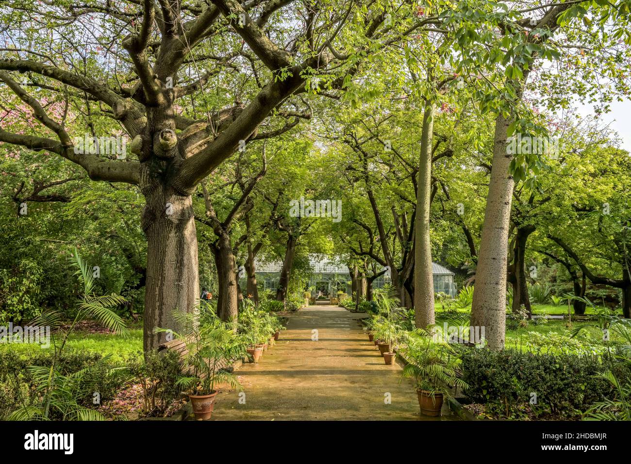Botanischer Garten Palermo