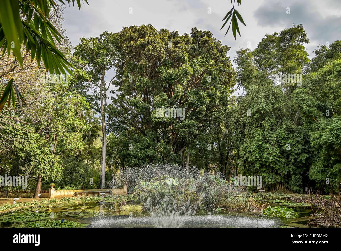 Botanischer Garten Palermo