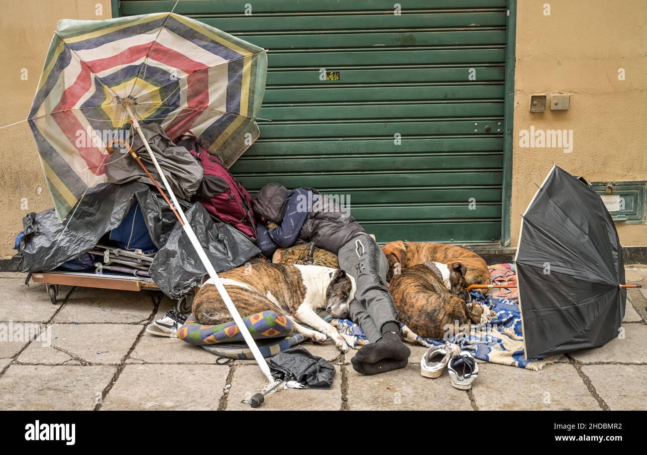 Katze und schlafende Hunde eines Obdachlosen, Palermo, Sizilien, Italien Stock Photo