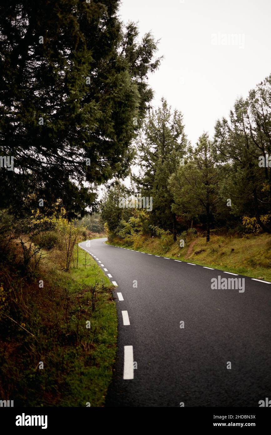 Vertical shot of an asphalt road going through a beautiful colorful ...