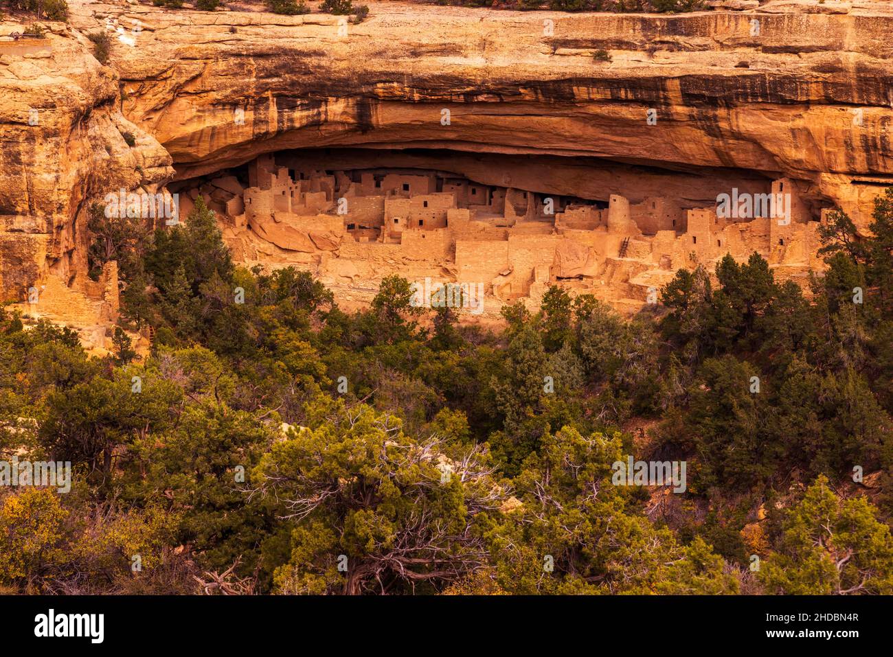 Cliff Palace House in late afternoon, Mesa Verde National Park, Colorado Stock Photo