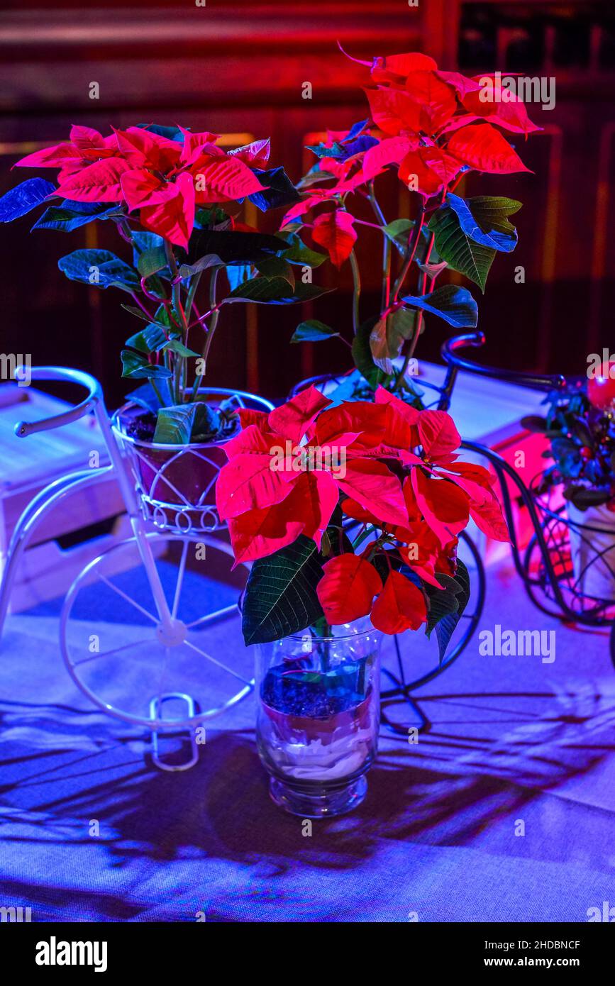 An elegant table setup in wedding reception Stock Photo