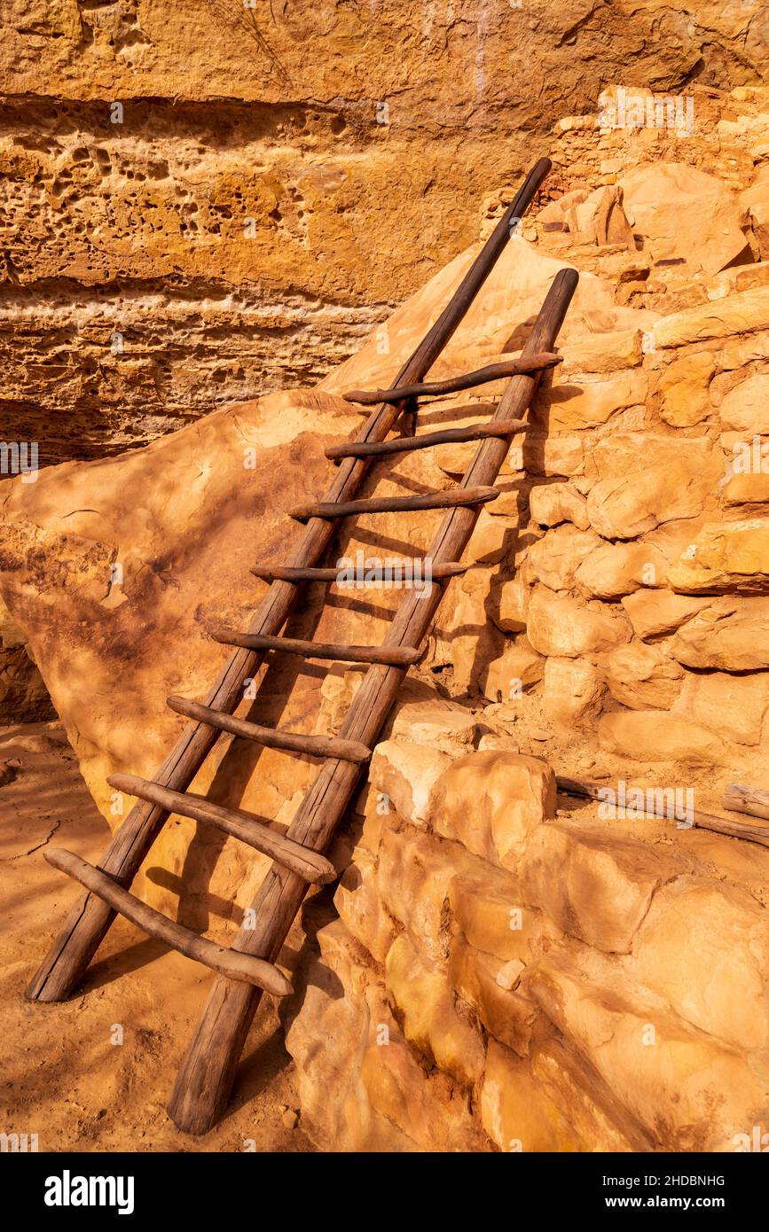 Ladder in Step House in Mesa Verde National Park, Colorado Stock Photo