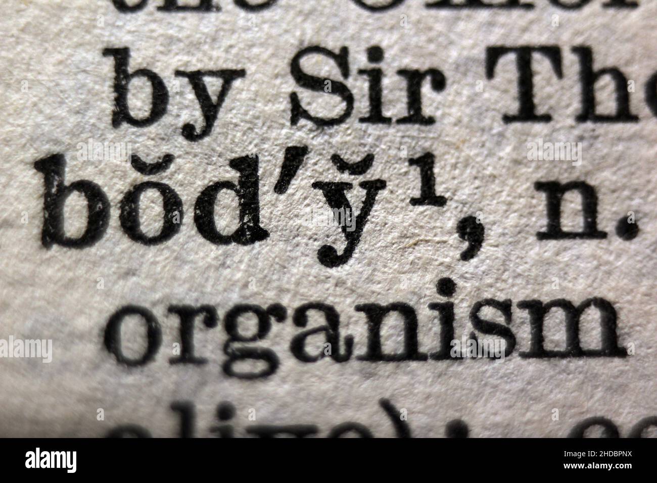 Word 'body' printed on dictionary page, macro close-up Stock Photo