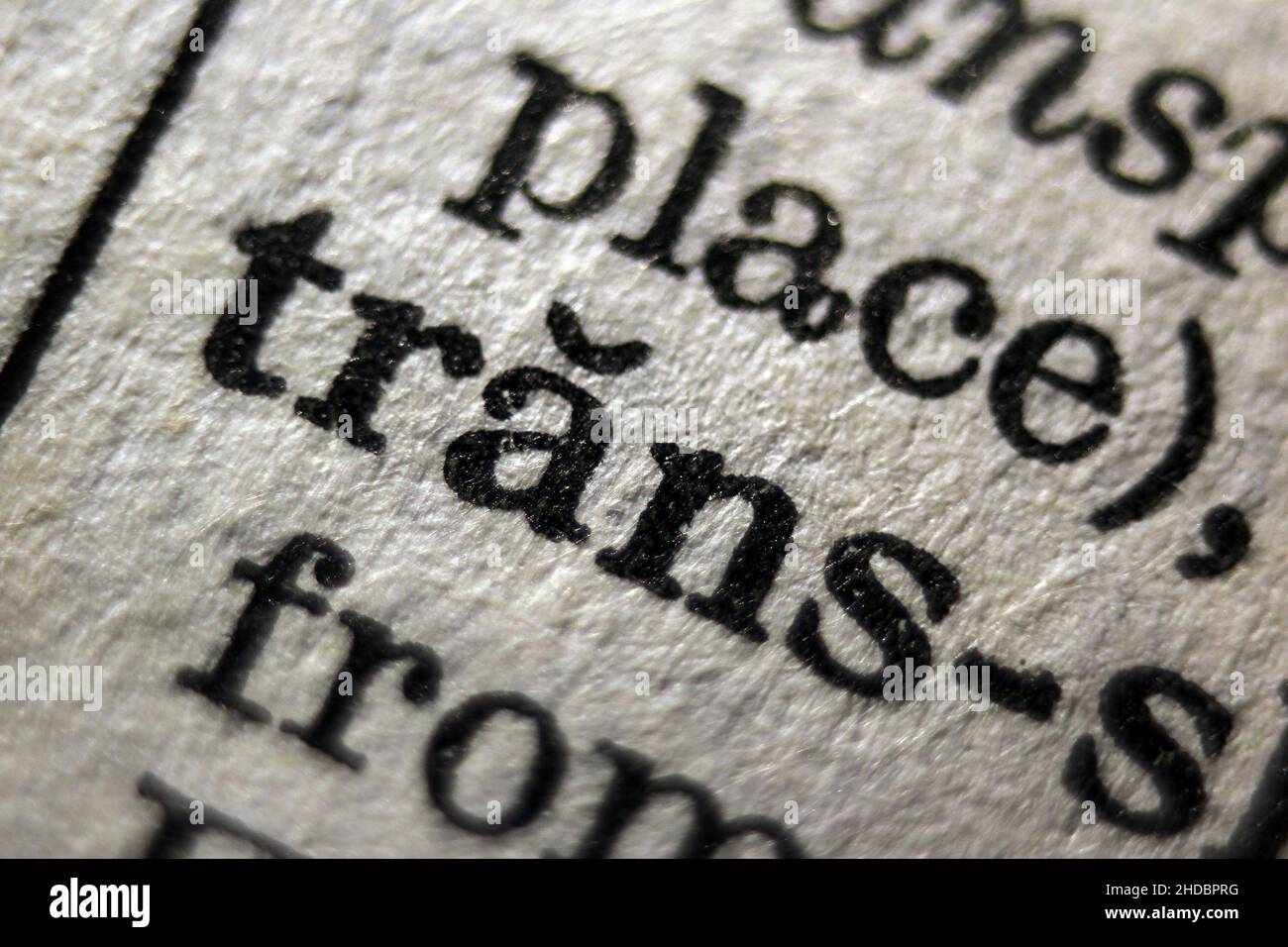 Word 'trans' printed on book page, macro close-up Stock Photo