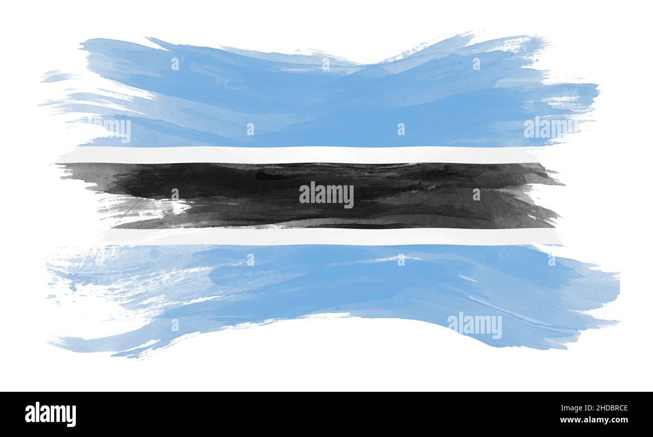 Botswana flag brush stroke, national flag on white background Stock ...
