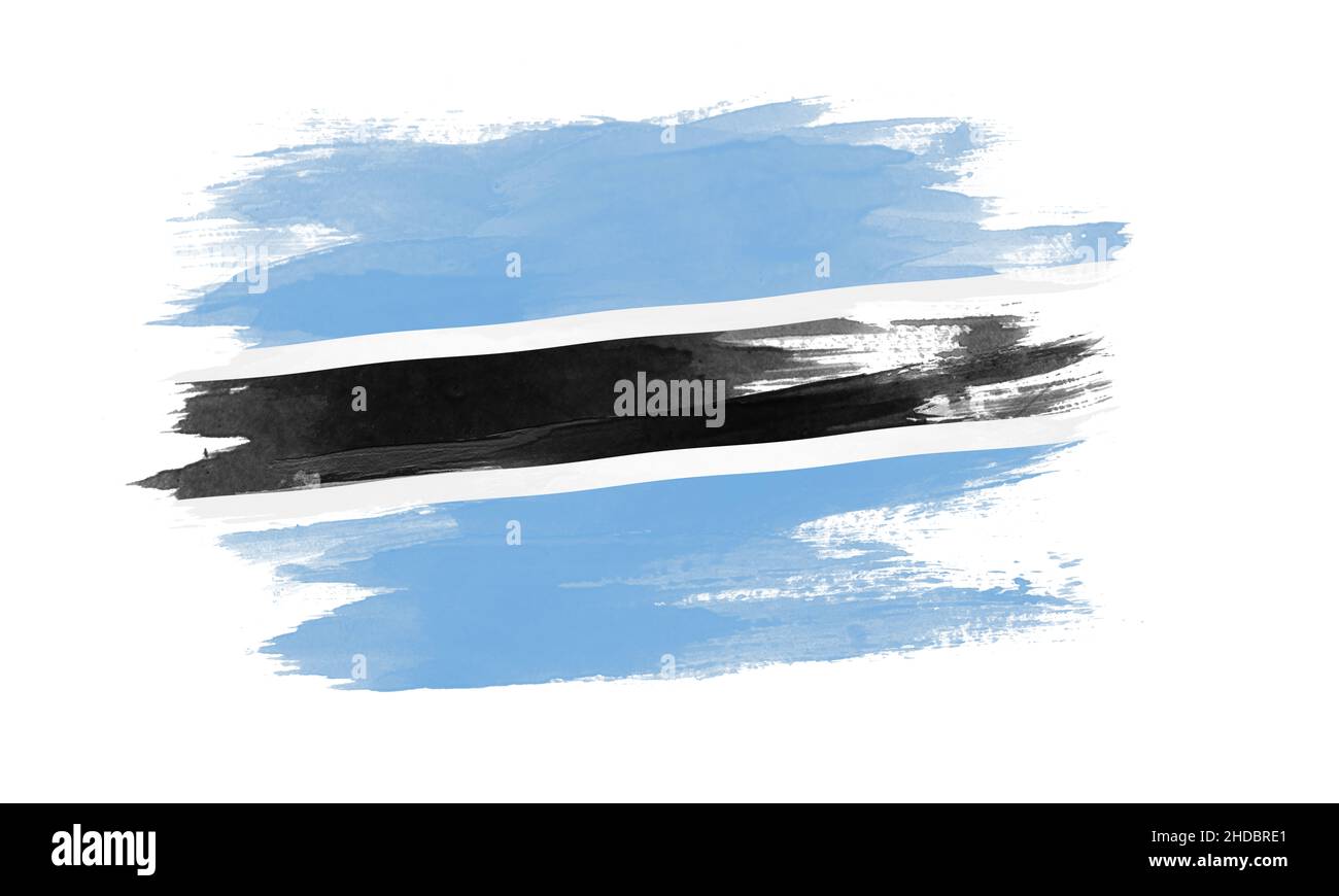 Botswana flag brush stroke, national flag on white background Stock ...