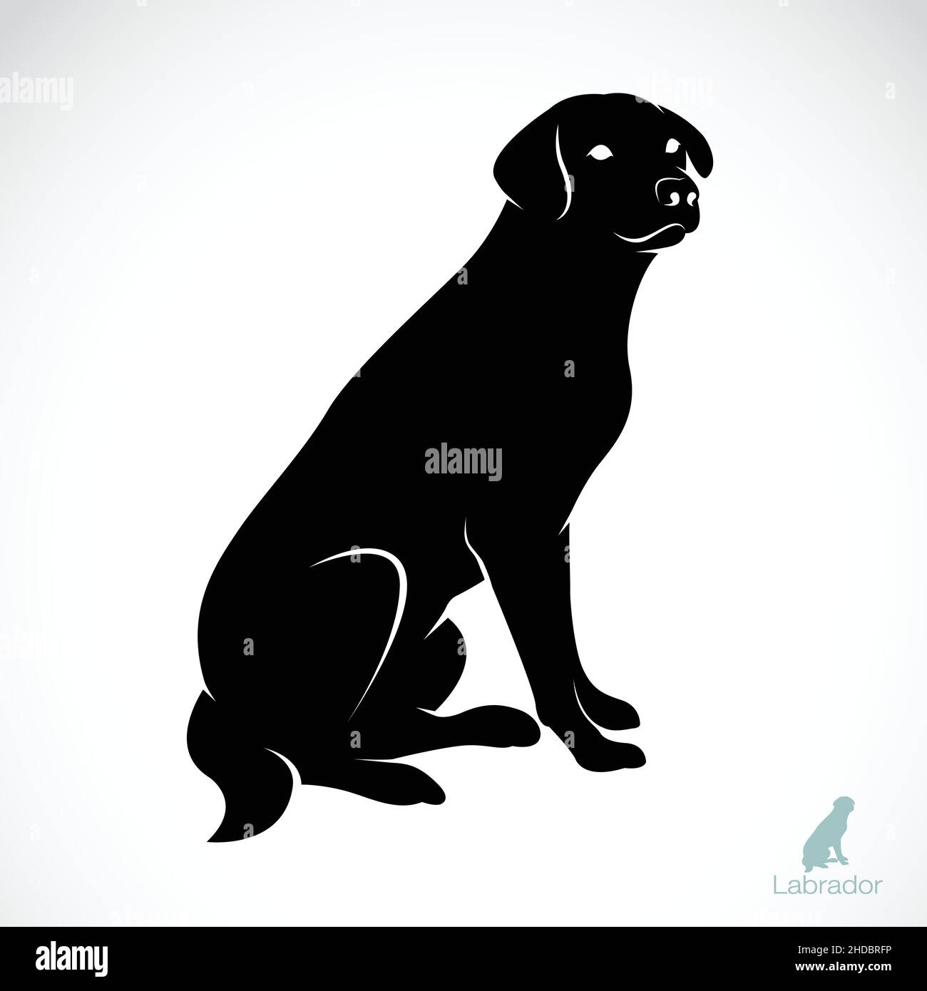 Labrador Simple Vector Image Vector of a dog labrador on white background. Easy editable layered ...