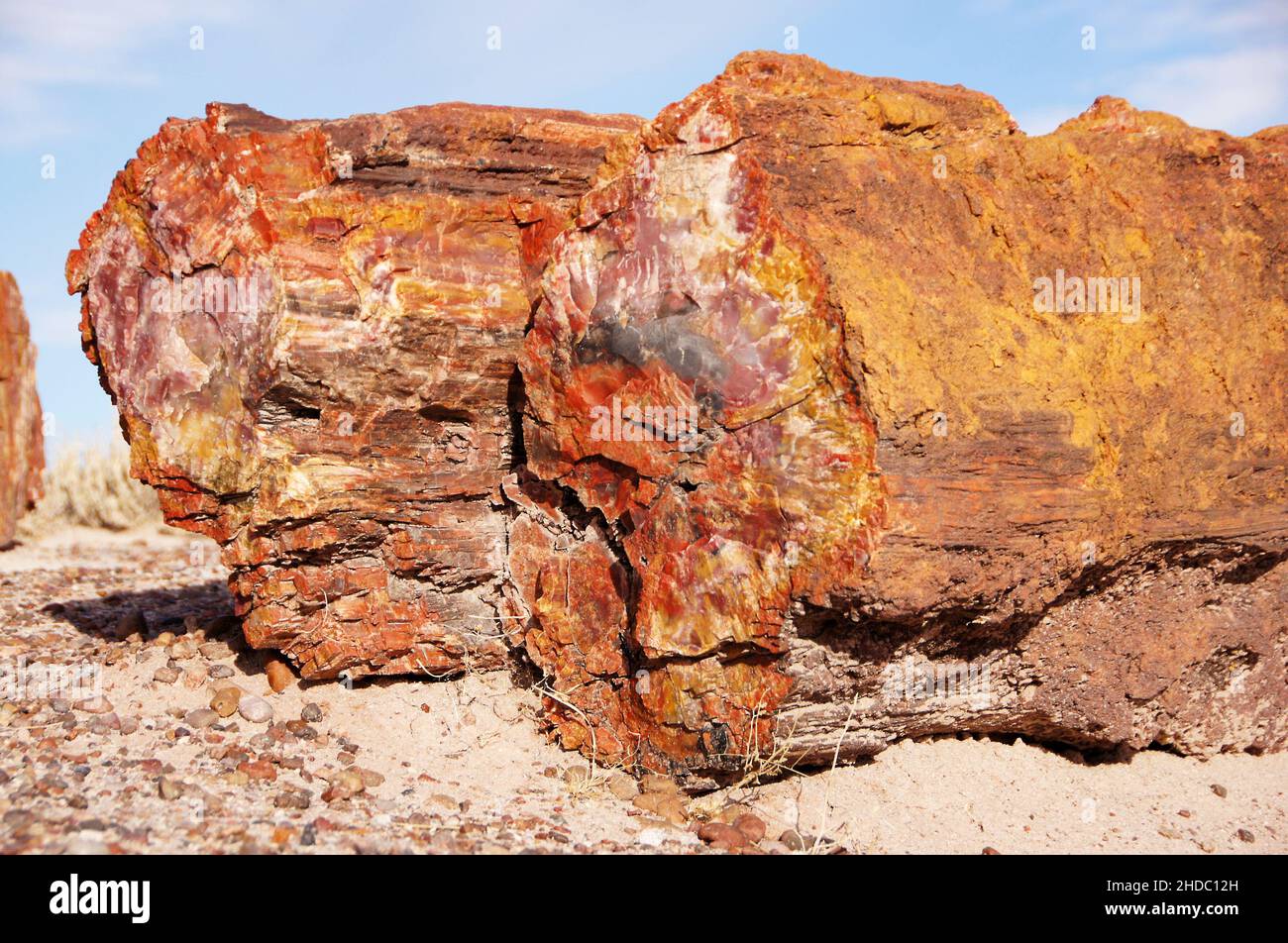 Der Petrified-Forest-Nationalpark ist ein Nationalpark der Vereinigten Staaten im Nordosten Arizonas. Stock Photo