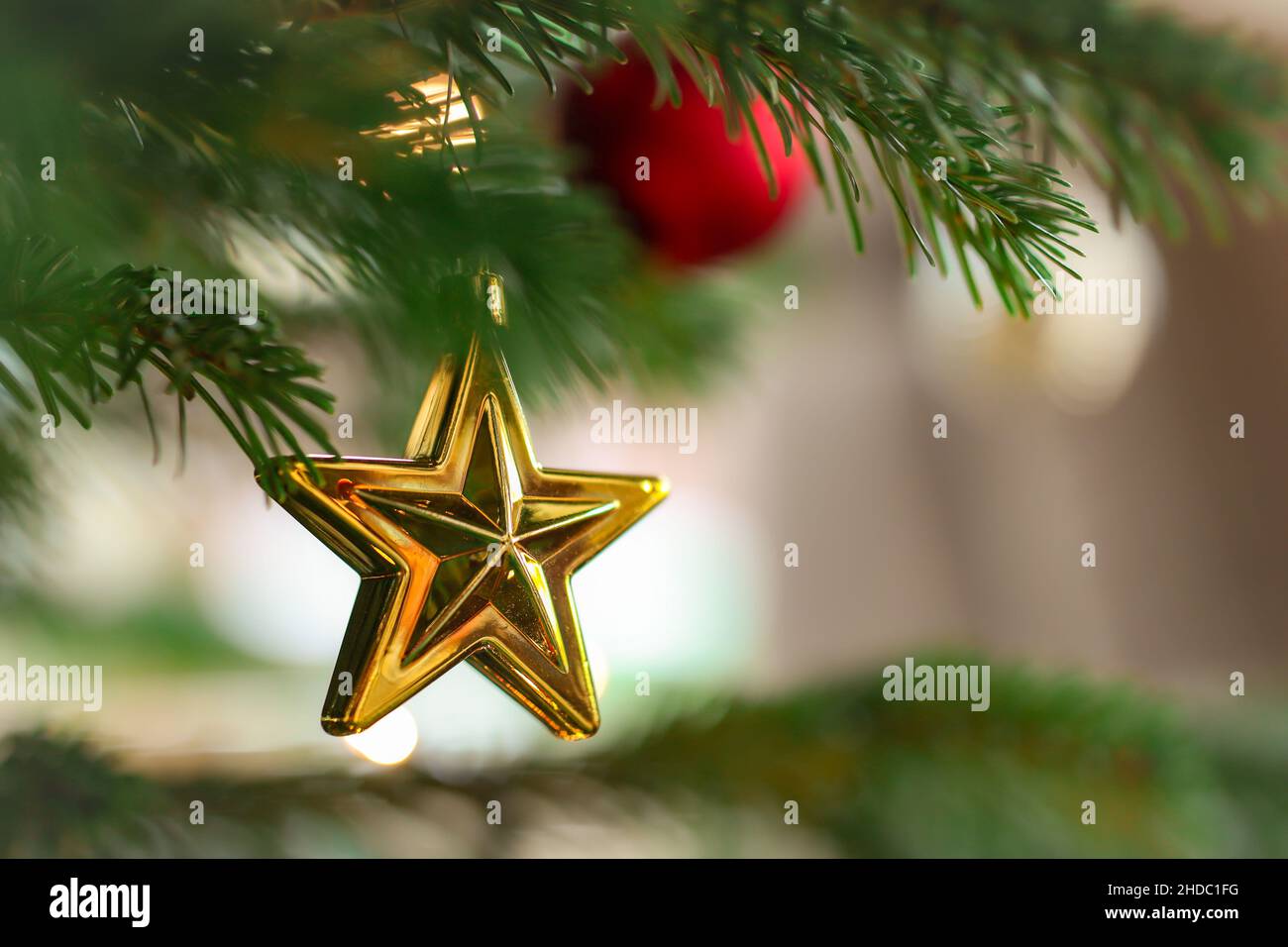 Beautiful Hanging Christmas Ornament on Green Tree. Seasonal Decoration of Golden Star. Stock Photo