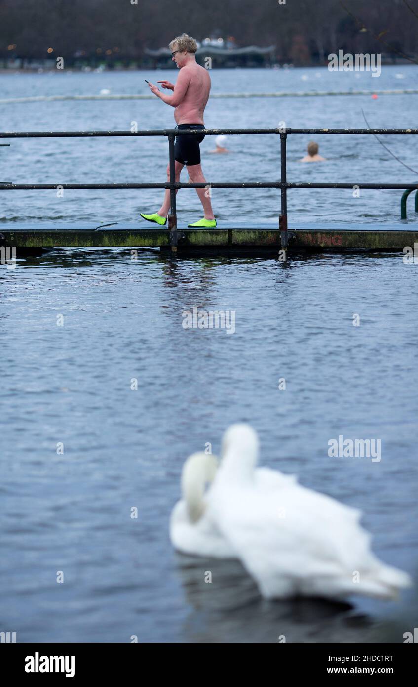 A swan is seen as swimmers taste a morning dip in the Serpentine, Hyde Park, on Christmas Day in London. Stock Photo
