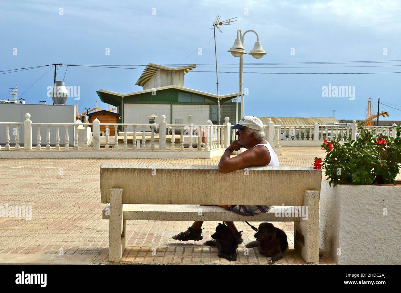 Man sitting on park bench with two dogs, waterfront, Villaricos, Andalucia, Spain, Europe Stock Photo