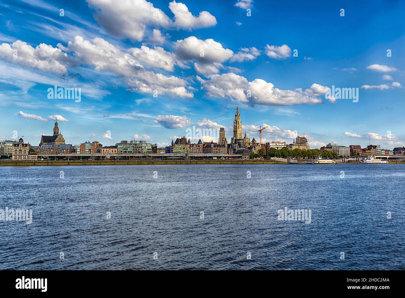 Town view Antwerp with Cathedral of Our Lady, River Scheldt, Antwerp, Flanders, Belgium, Europe Stock Photo