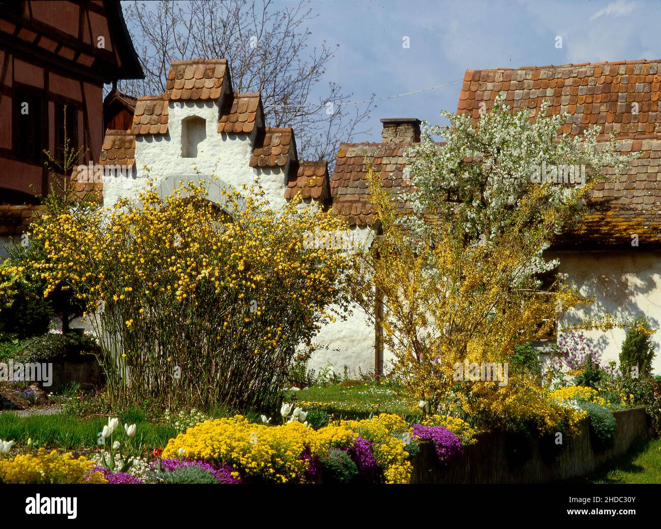 Half-timbered house and old castle wall, farm, spring garden, idyll ...