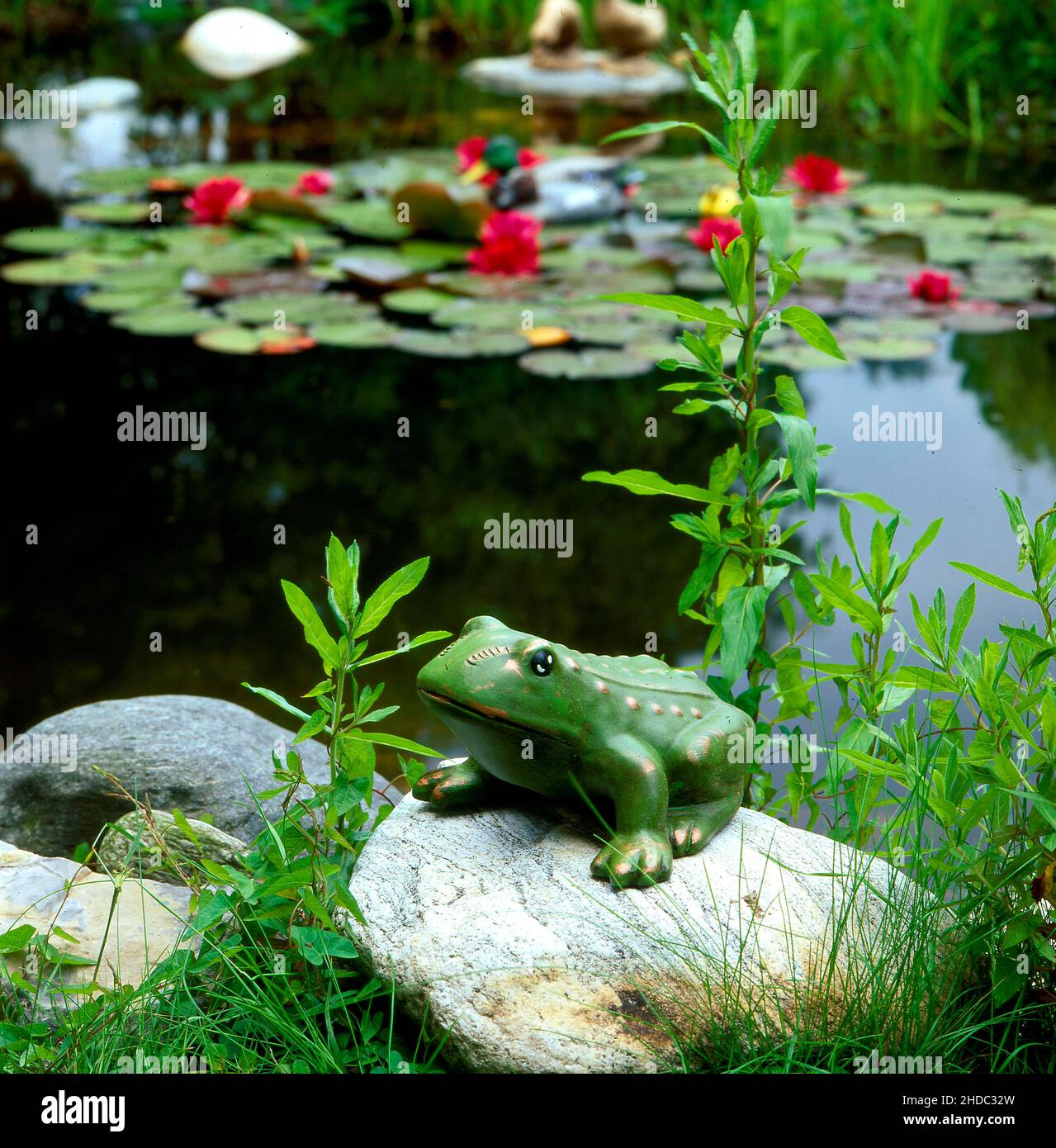 Frog figure in the garden pond, water lily pond in the summer garden, Frog figure in the garden pond, water lily pond in the summer garden Stock Photo