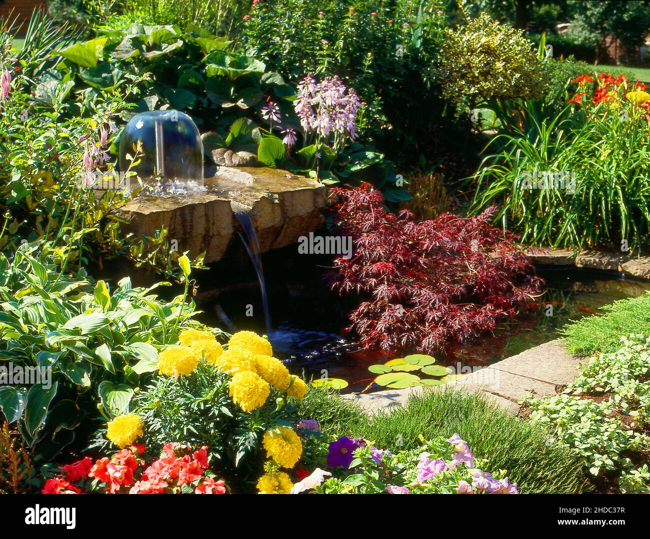 Water garden with fountain with summer garden pond, Water garden with fountain with summer garden pond Stock Photo