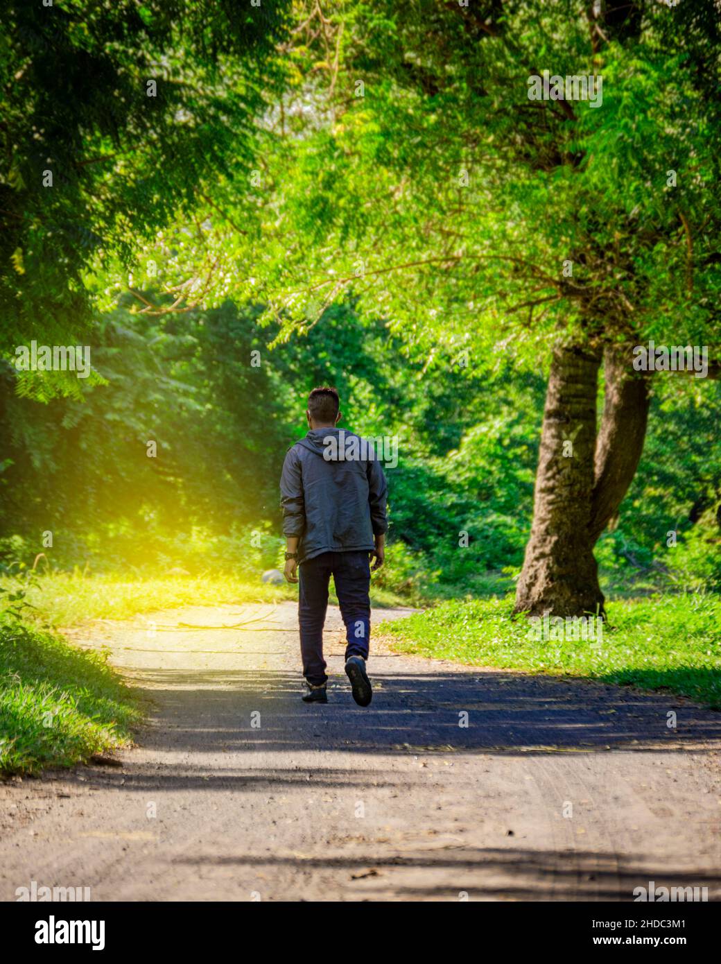 Latin man walking on a nice road, rear view of a young man walking on a road surrounded by trees Stock Photo