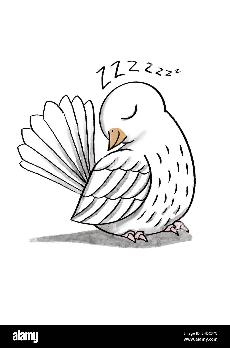 cute hand drawn sleeping dove Stock Photo - Alamy
