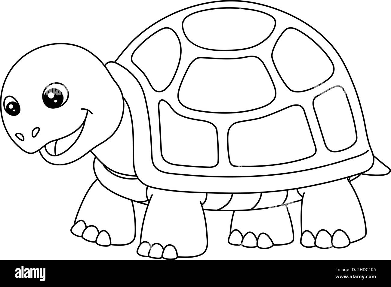 Turtle Coloring Page Isolated for Kids Stock Vector