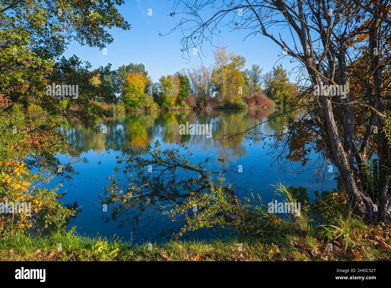 Fish pond on the river Lafnitz in autumn, Königsdorf, Burgenland, Austria, Europe Stock Photo
