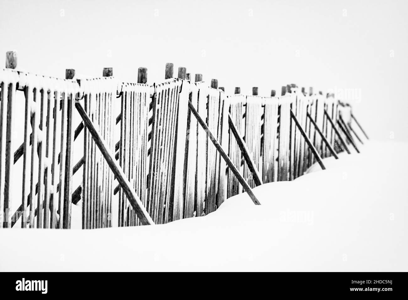 Snow fence in wintry landscape, Ronsberg, Ostallgaeu, Bavaria, Germany Stock Photo
