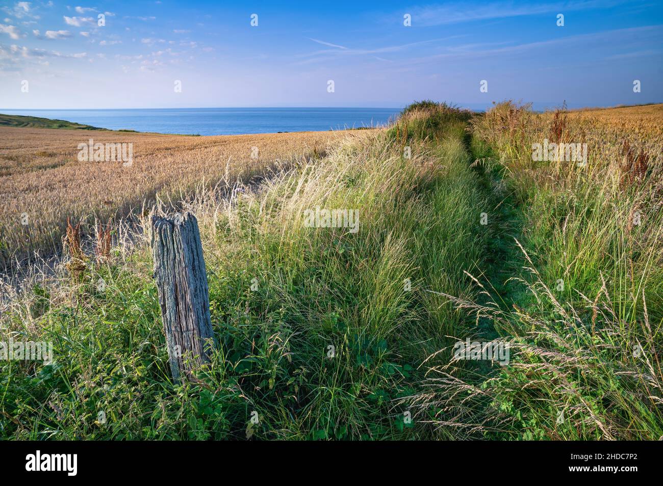 A Costal Path Stock Photo - Alamy