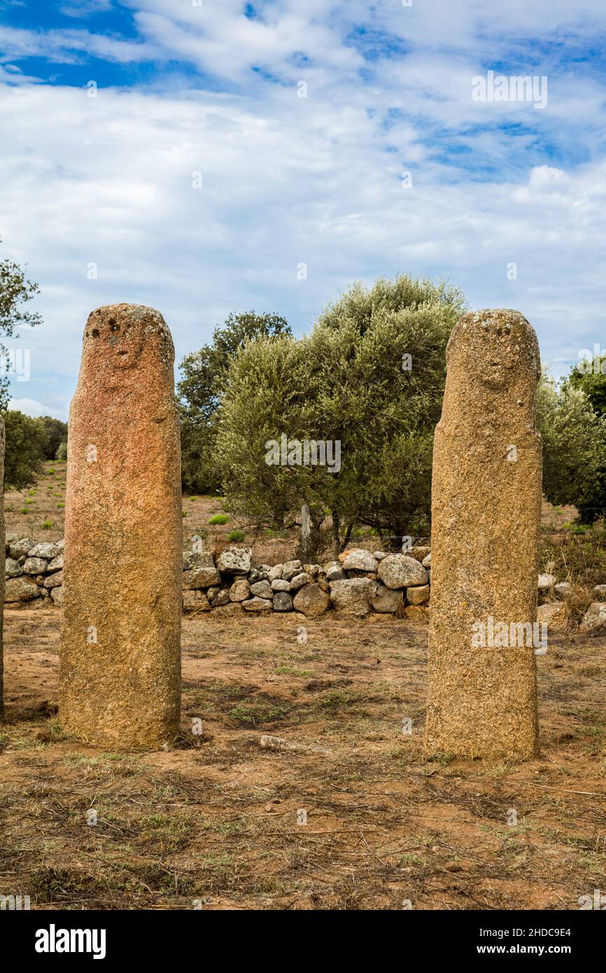 Menhir Statues, Alignement of Stantari, Prehistoric Site Plateau of Cauria, Corsica, Cauria, Corsica, France, Europe Stock Photo