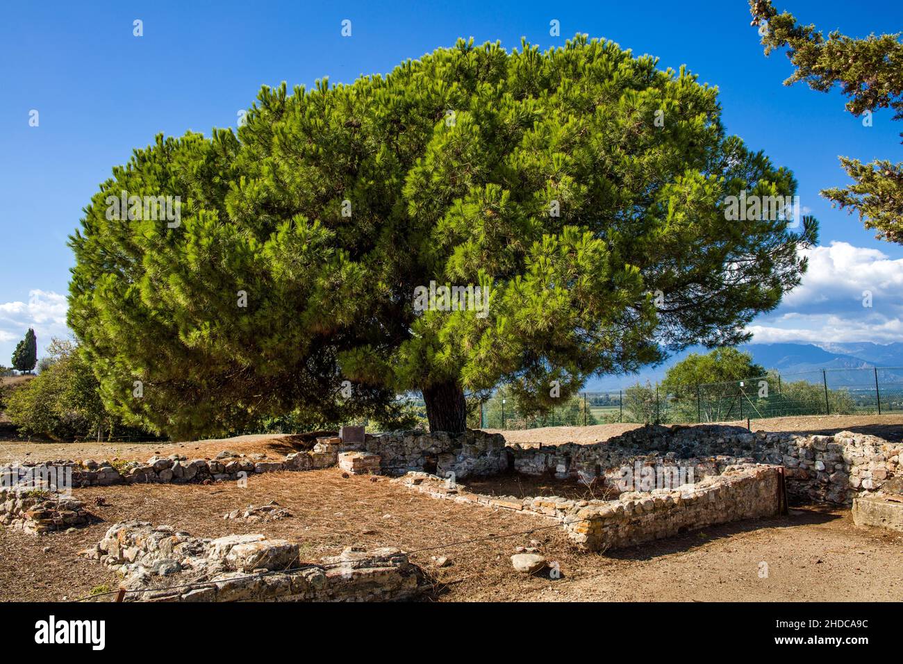Excavation site site, Roman city of Aleria, Corsica, Aleria, Corsica, France, Europe Stock Photo
