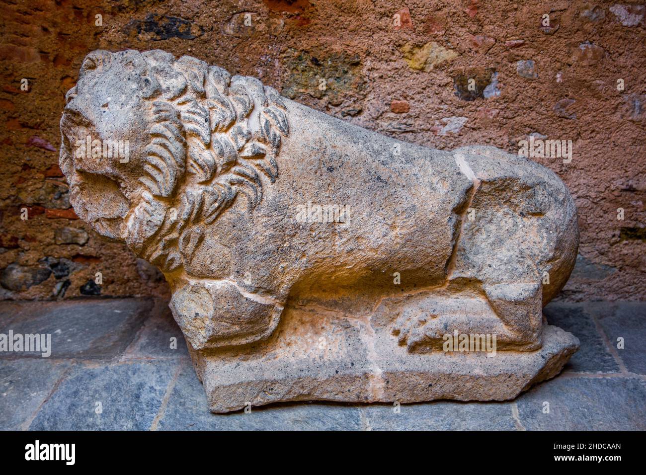 Lion, Museum, Genoese Fort de Matra, Roman city of Aleria, Corsica, Aleria, Corsica, France, Europe Stock Photo