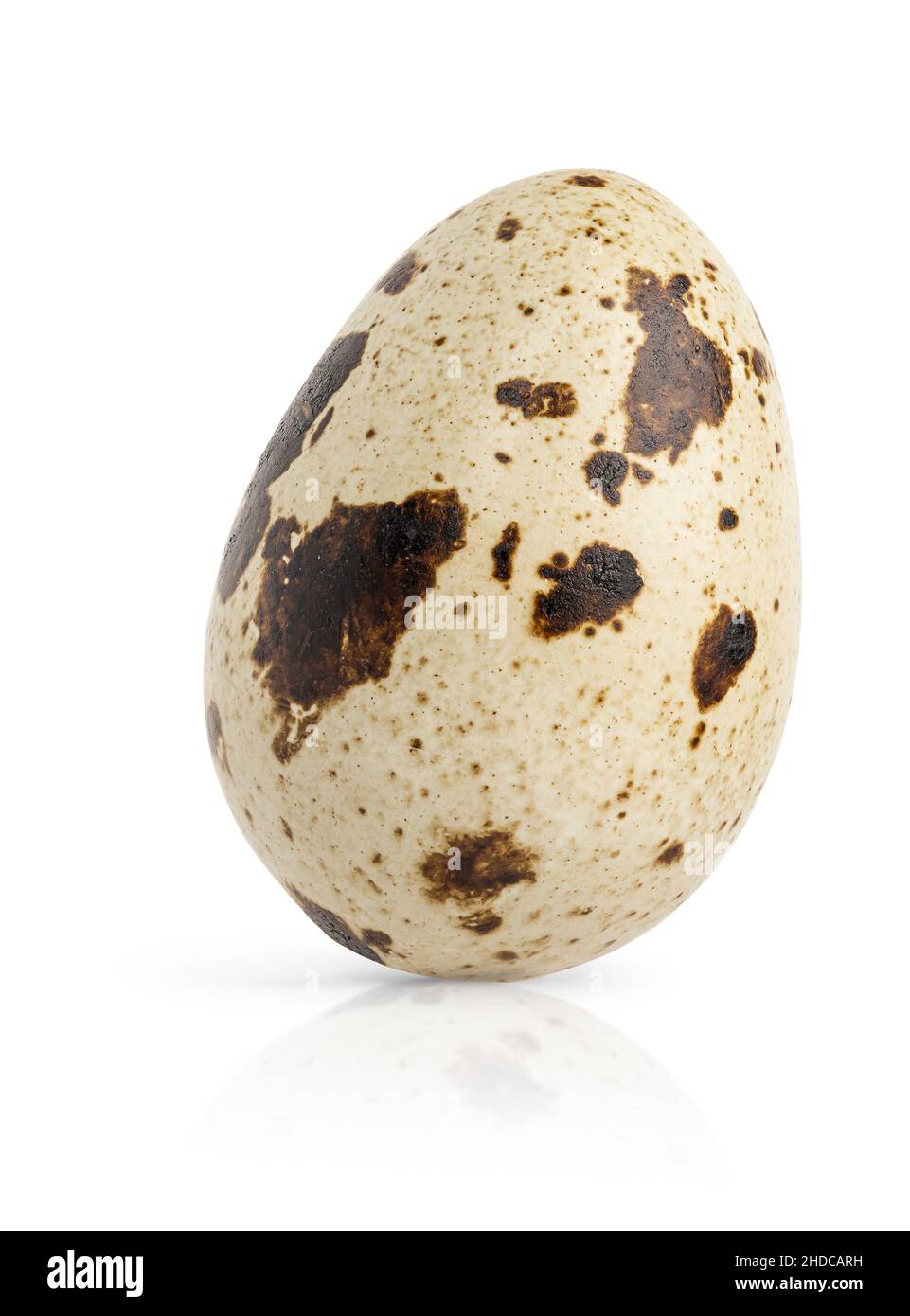 Single quail egg isolated on white background. Stock Photo