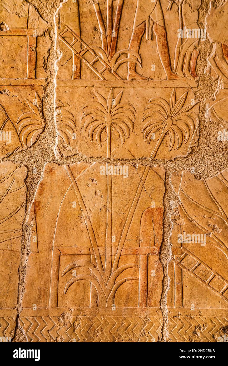 Relief detail of a traditional pile-dwelling hut in Punt, funerary temple of Pharaoh Hatshepsut, Deir el-Bahari, Luxor, Thebes West, Egypt, Luxor, The Stock Photo