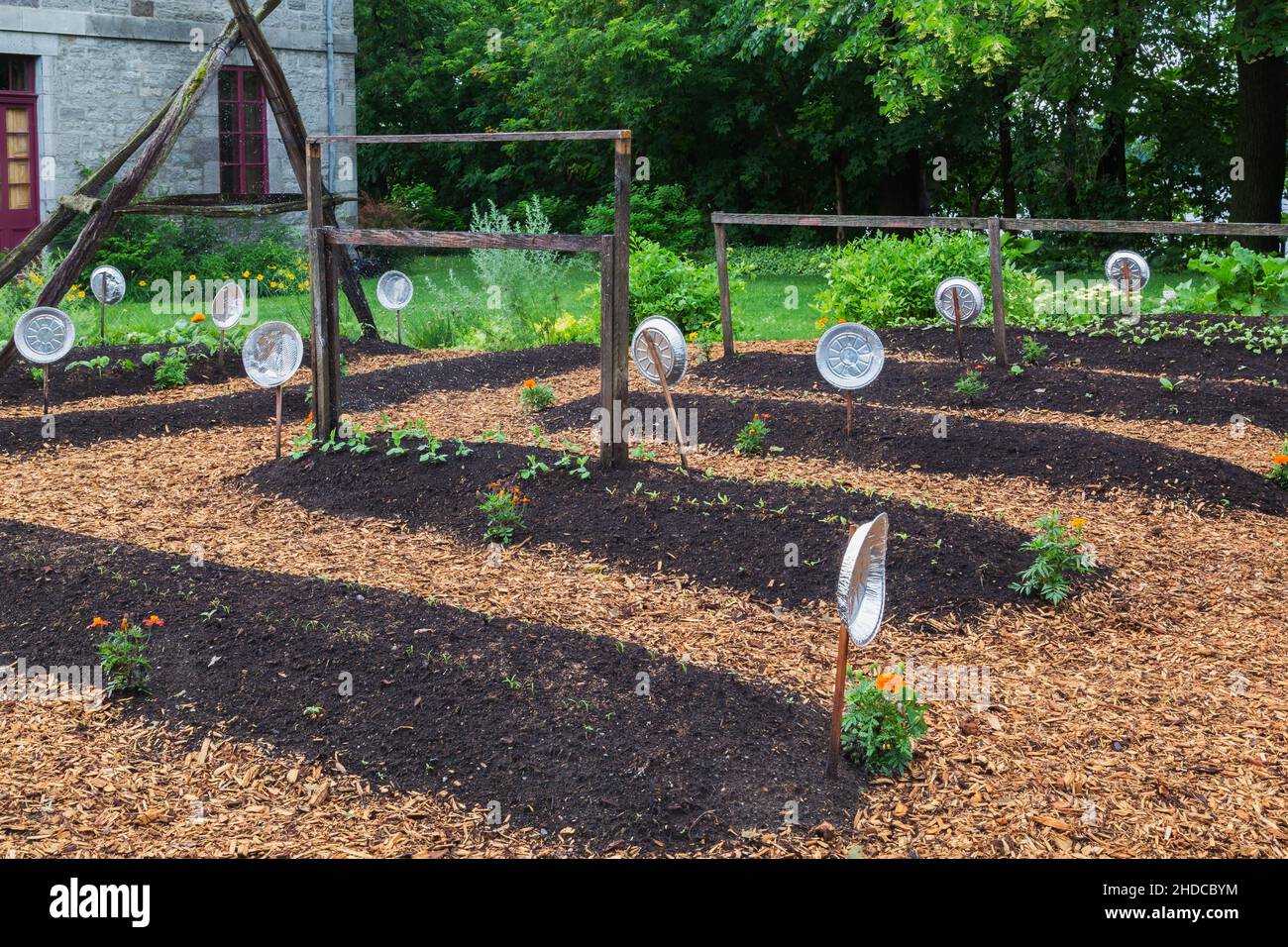 Rows of raised garden beds hires stock photography and images Alamy