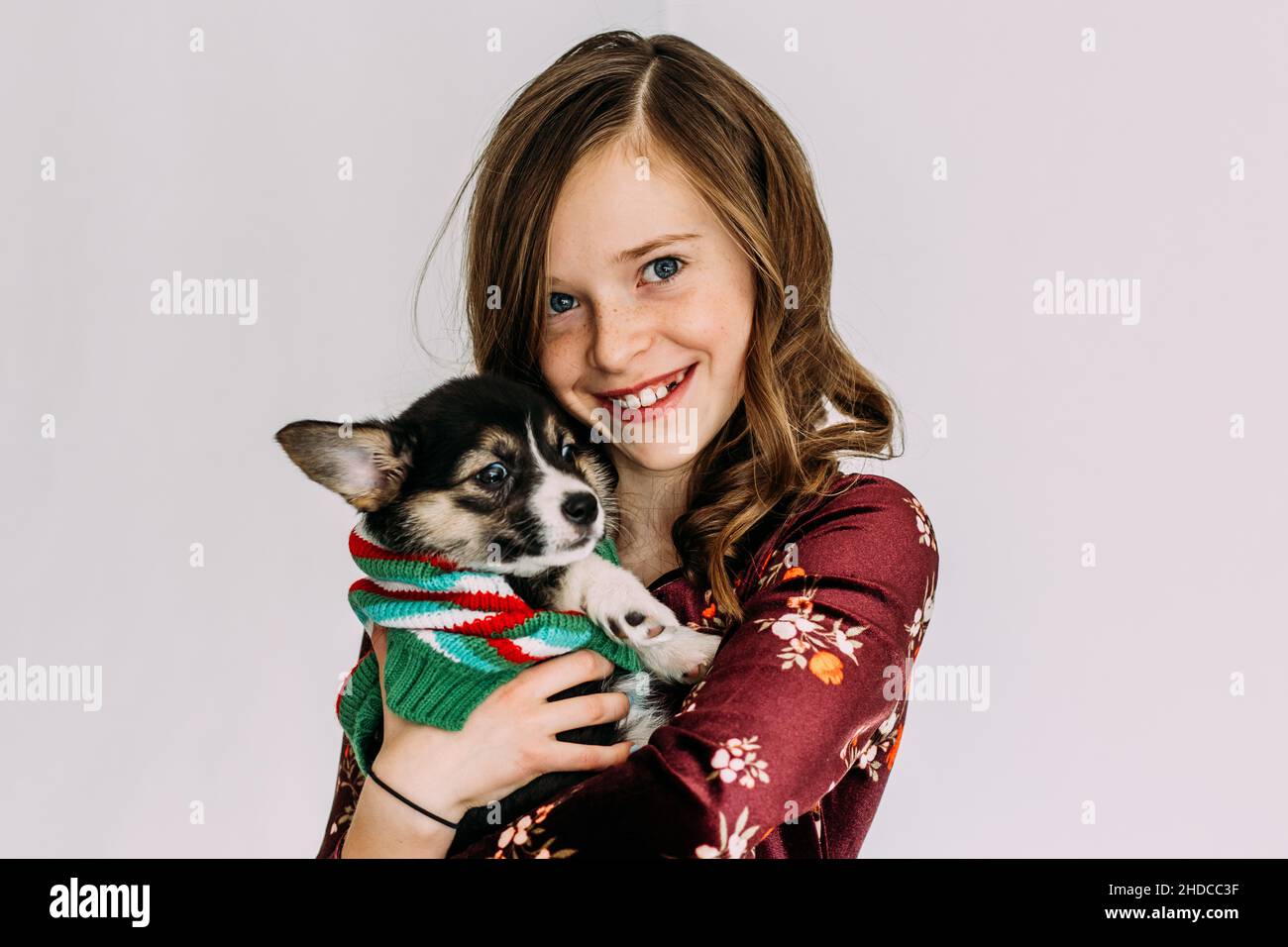 Young girl holding corgi puppy Stock Photo