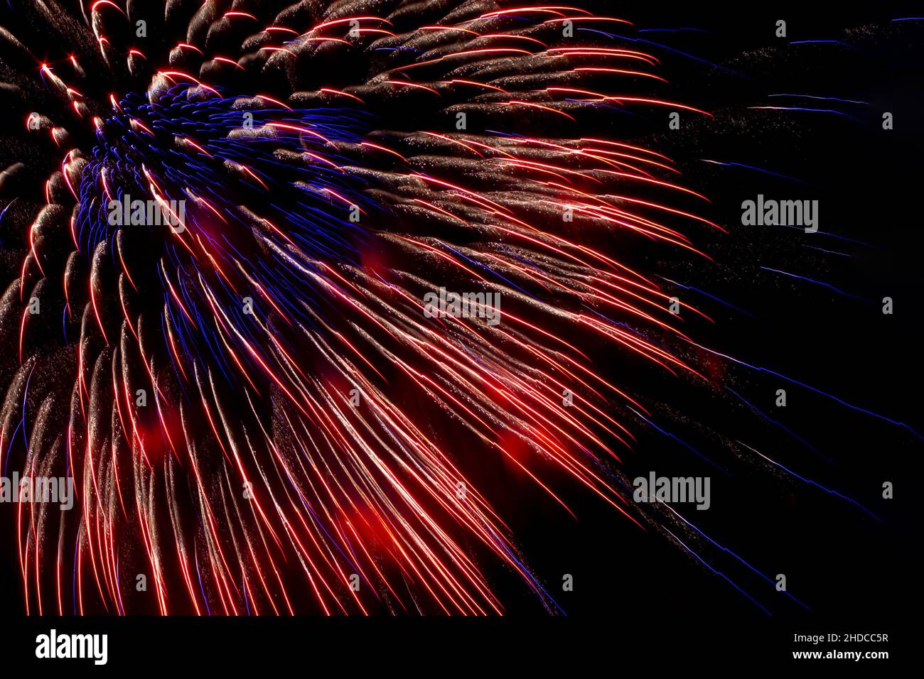 Concept of holiday. Red and violet fireworks on background of night sky, close-up.  Stock Photo