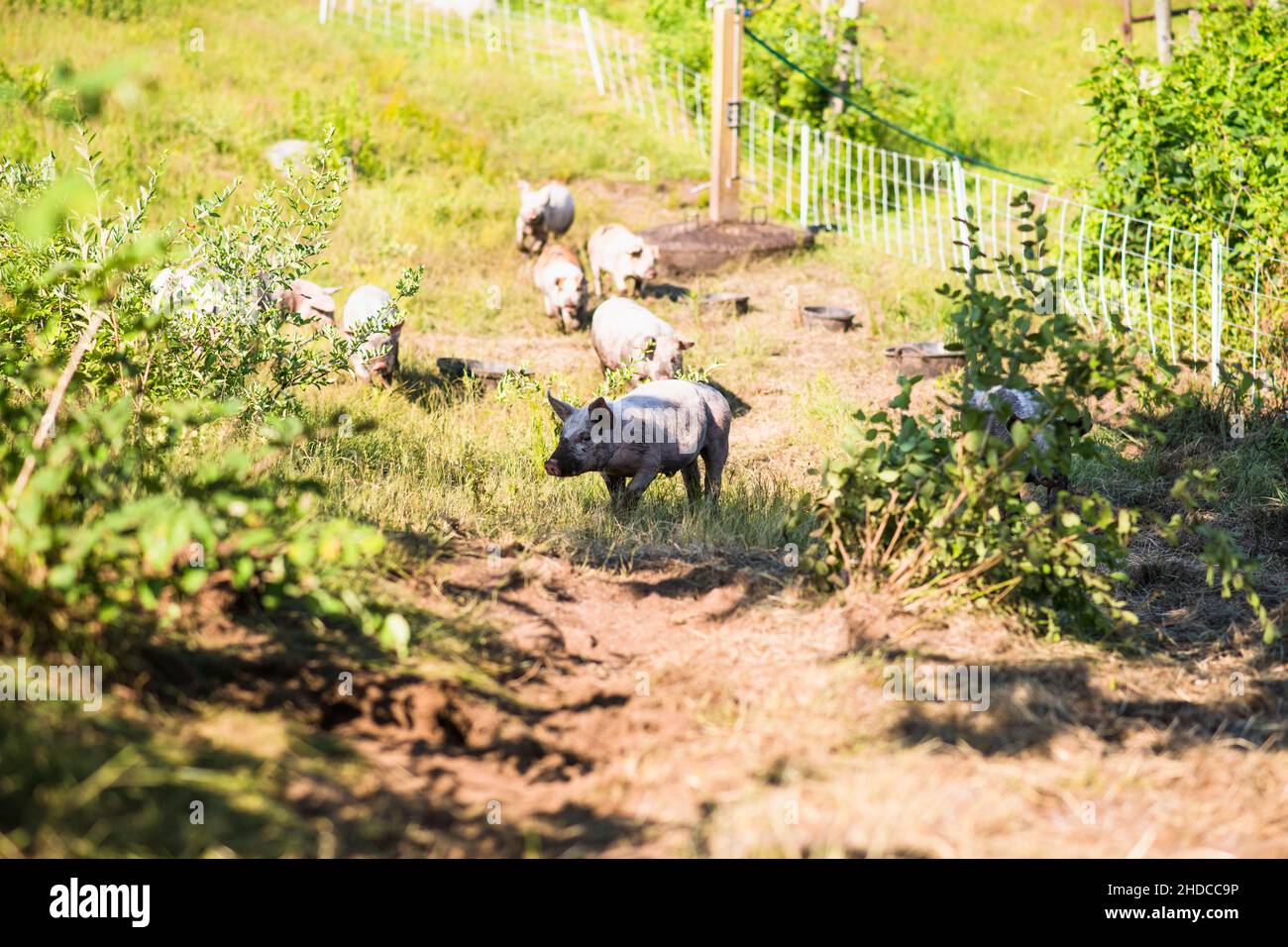 South kingstown new england hi-res stock photography and images - Alamy