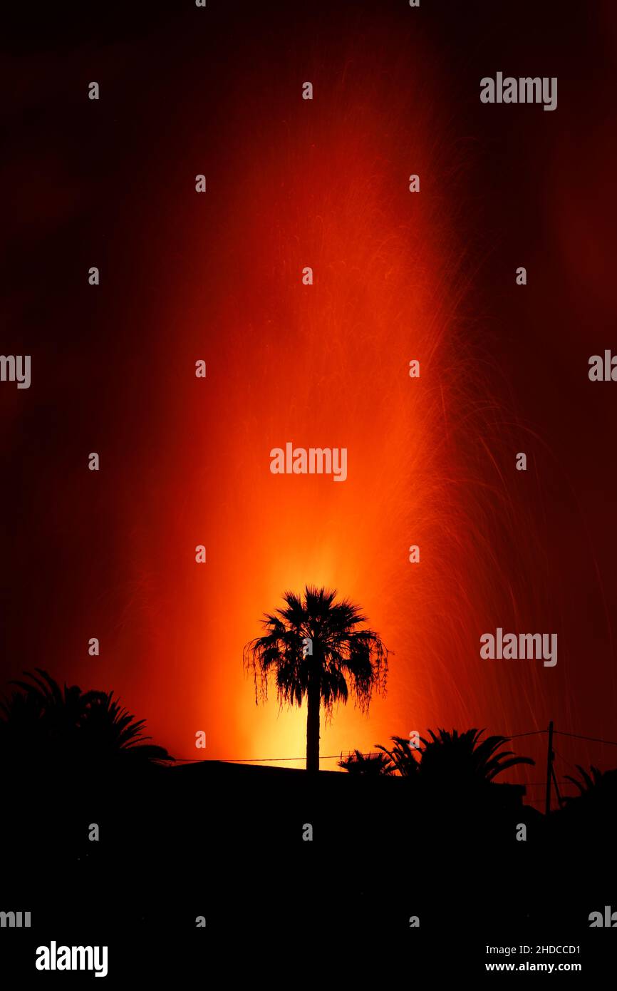 volcanic eruption behind a palm tree Stock Photo - Alamy