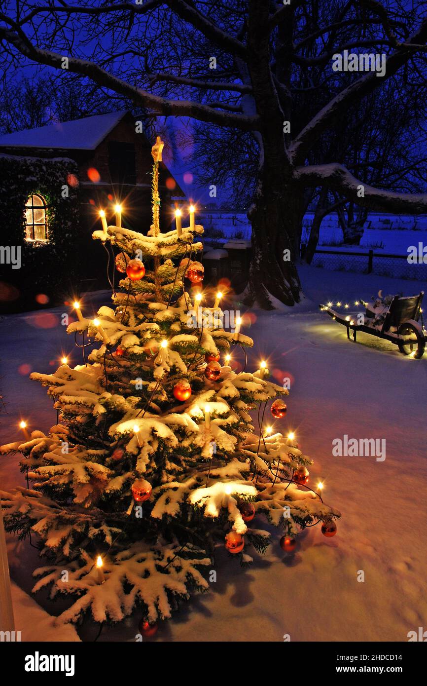 Europa, Deutschland, Weihnachtsbaum mit Kerzen und Kugeln im verschneiten Vorgarten, Stock Photo