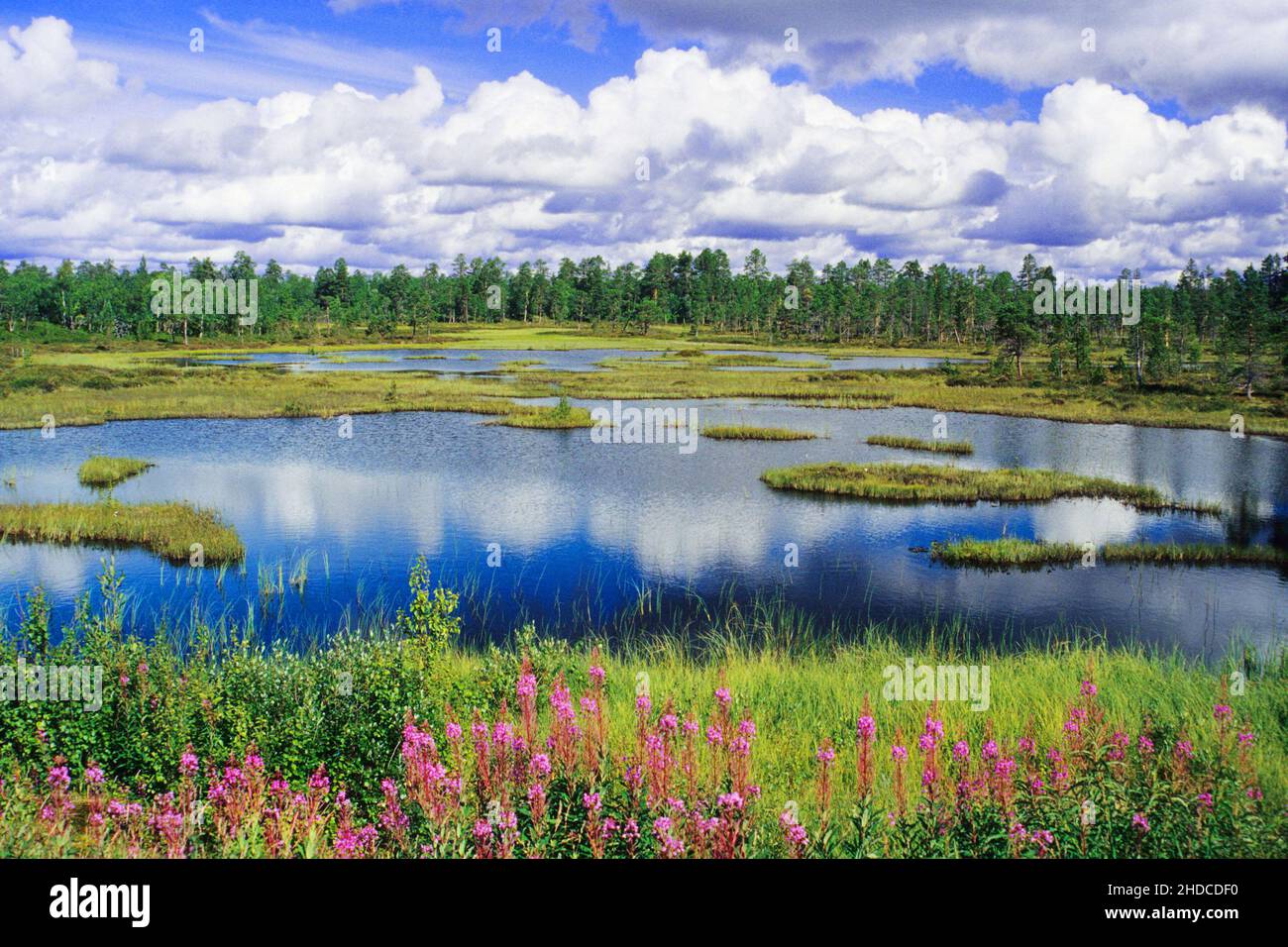 Finnland - typische Seenlandschaft Stock Photo