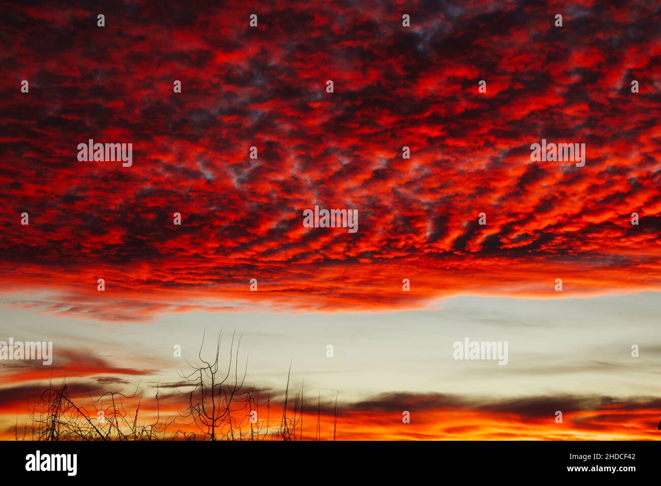 Amazing Dramatic Sunset Sky with Red Clouds Stock Photo - Alamy