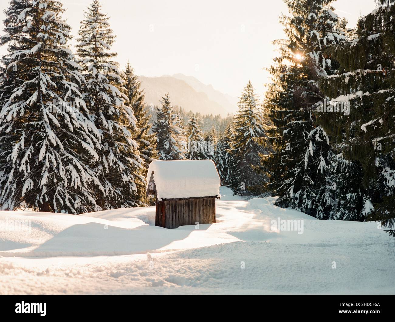 Snow covered rustic cabin in the woods of a winter wonderland Stock ...
