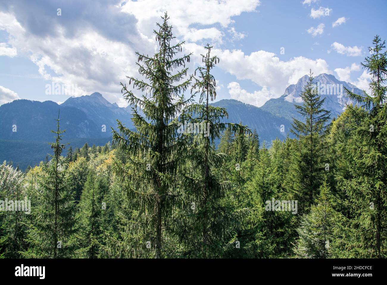 Das Wettersteingebirge ist eine Gebirgsgruppe der Nördlichen Kalkalpen in den Ostalpen zwischen Garmisch-Partenkirchen, Mittenwald, Seefeld in Tirol u Stock Photo