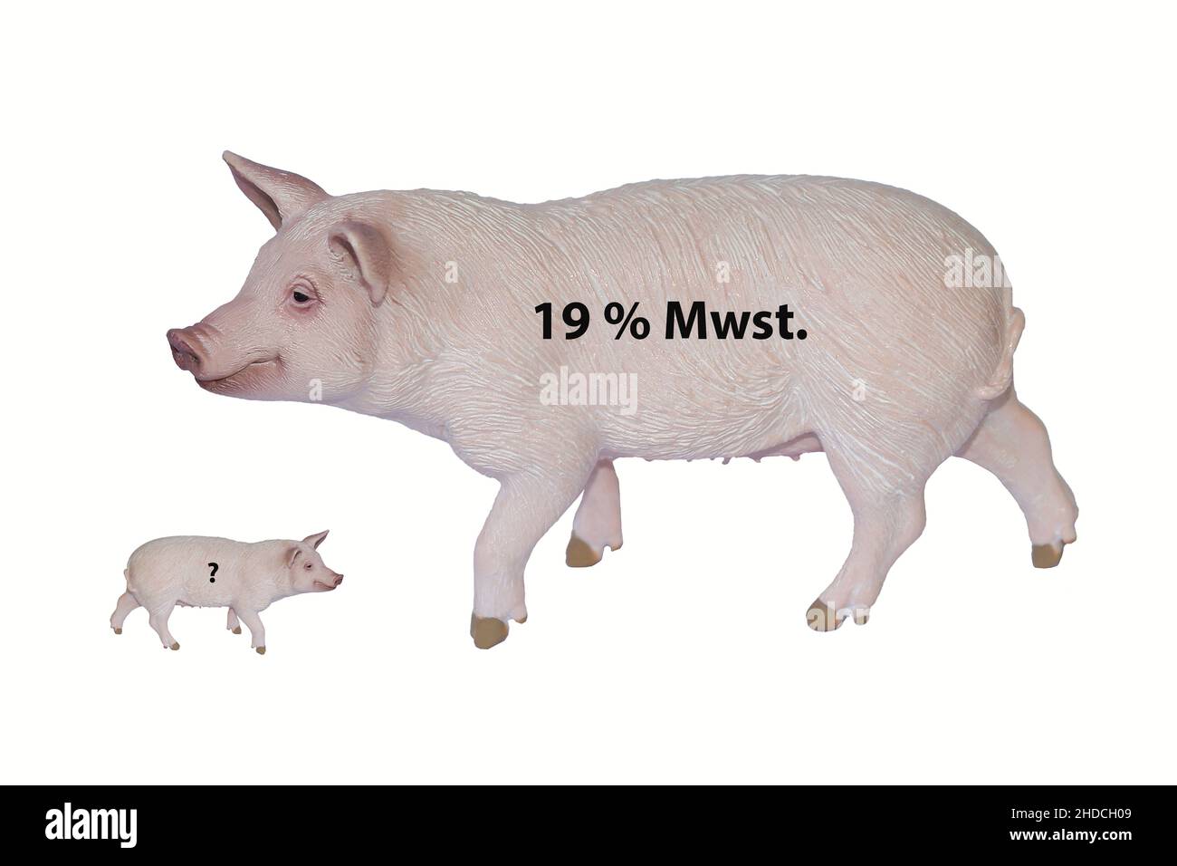 Hausschwein, Erhoehung der Mwst. auf 19% auf Fleischprodukte Stock Photo