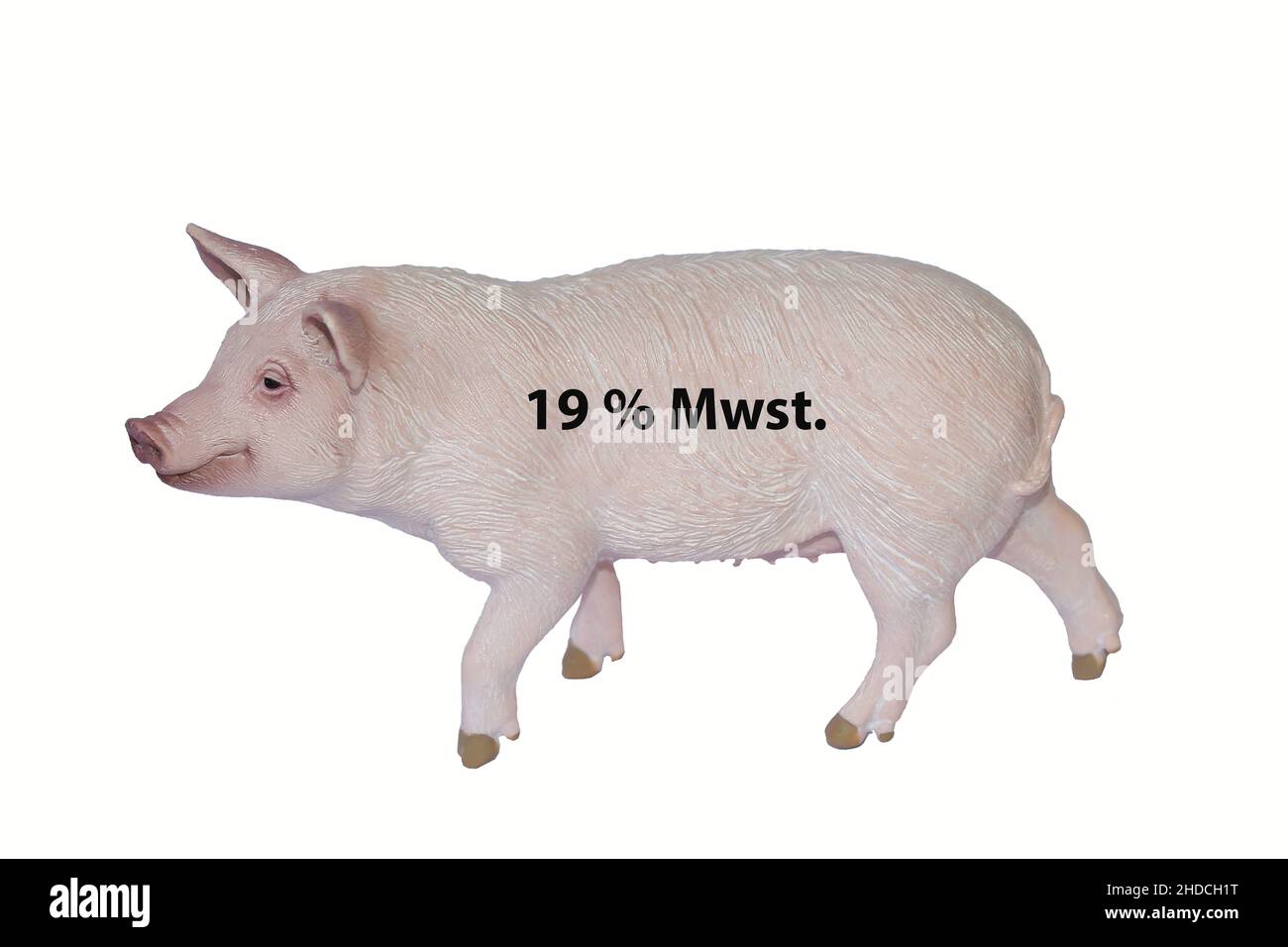 Hausschwein, Erhoehung der Mwst. auf 19% auf Fleischprodukte Stock Photo