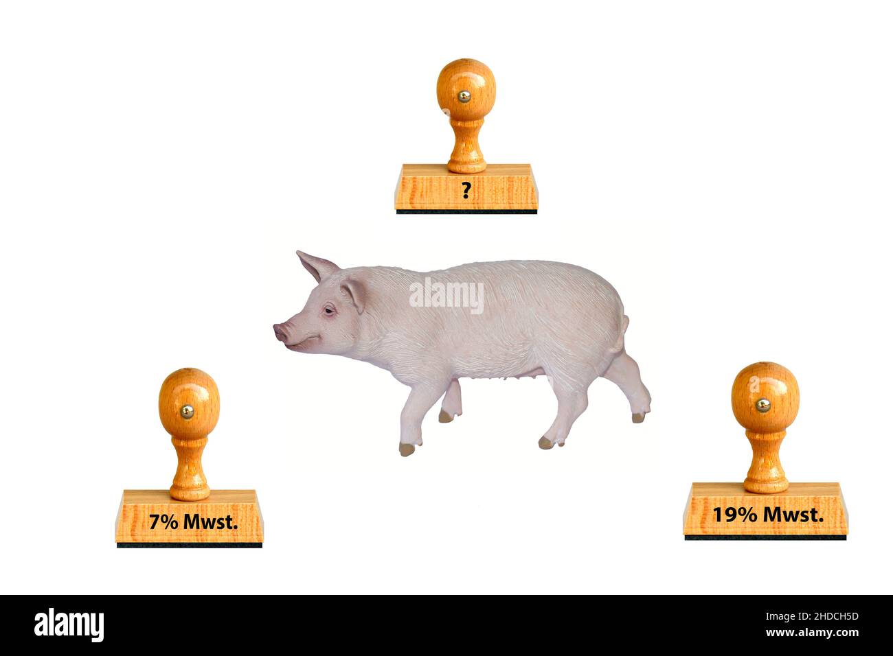 Schwein, Hausschwein, Freisteller, weisser Hintergrund, Erhoehung der Mehrwertsteuer auf Fleischprodukte um 19%. Stock Photo