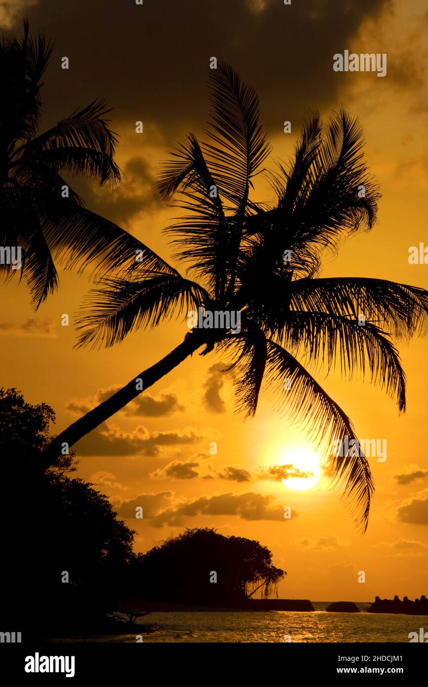 Sonnenuntergang am Traumstrand, Karibik, Stock Photo