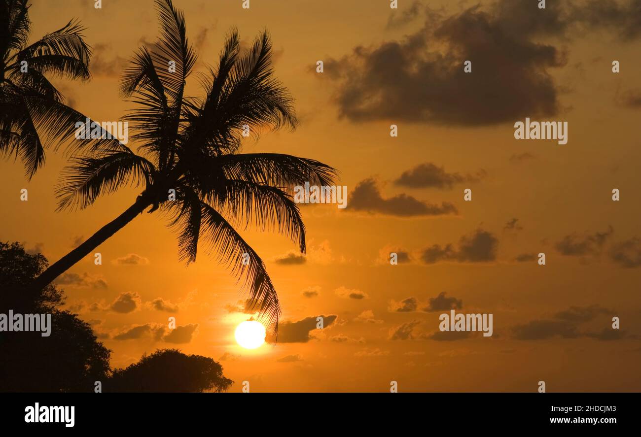 Sonnenuntergang am Traumstrand, Karibik, Stock Photo