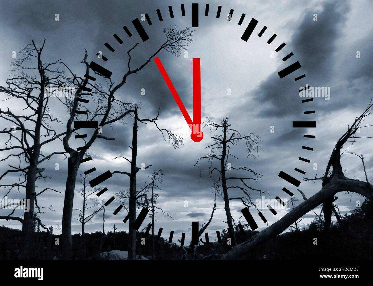 Toter Wald durch Umweltverschmutzung, Uhr zeigt 5 vor 12, Stock Photo