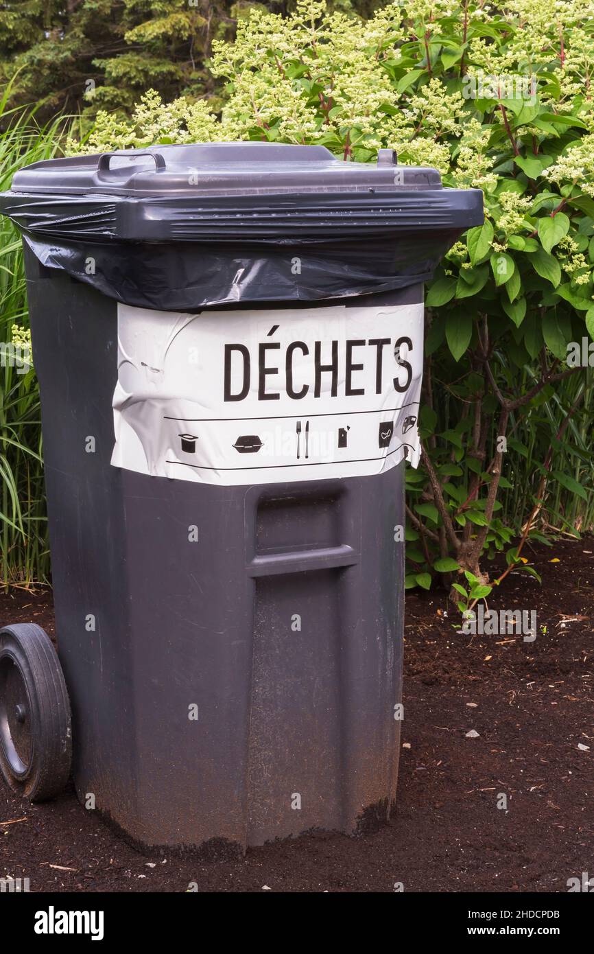 Black plastic recycling bin with pictograms and the French language word Dechets meaning garbage