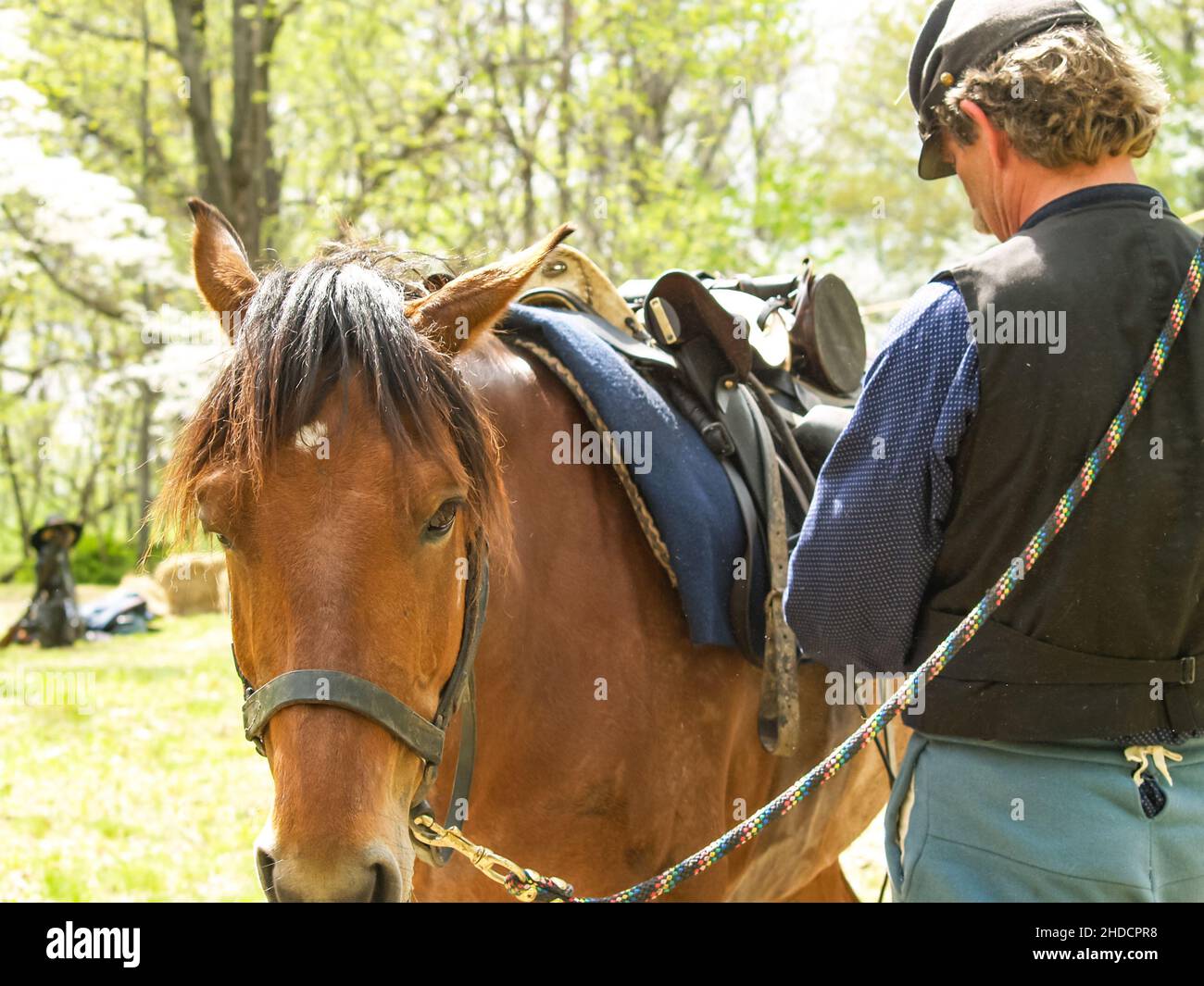 Horses used in American Civil War reenactment is an effort to recreate the appearance of a